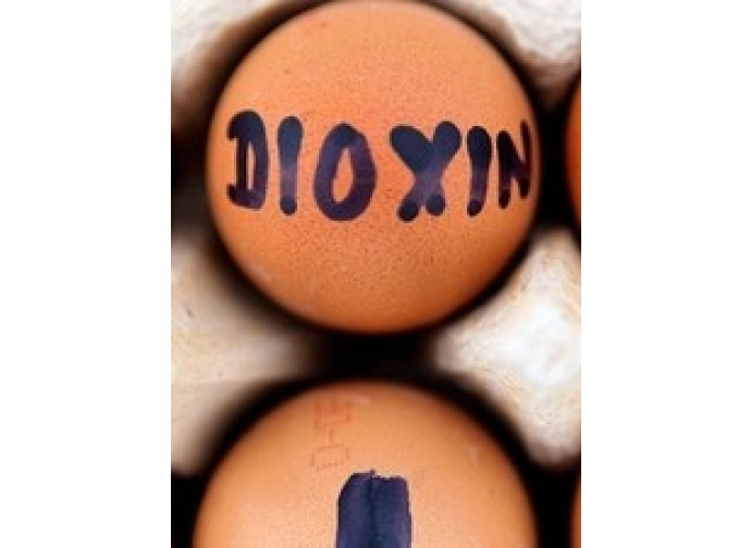 uova diossina uova diossina